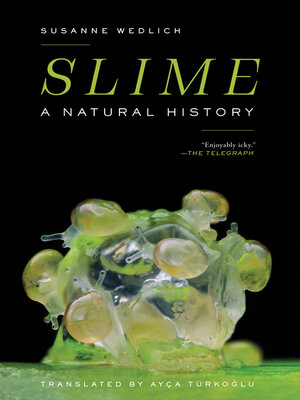cover image of Slime